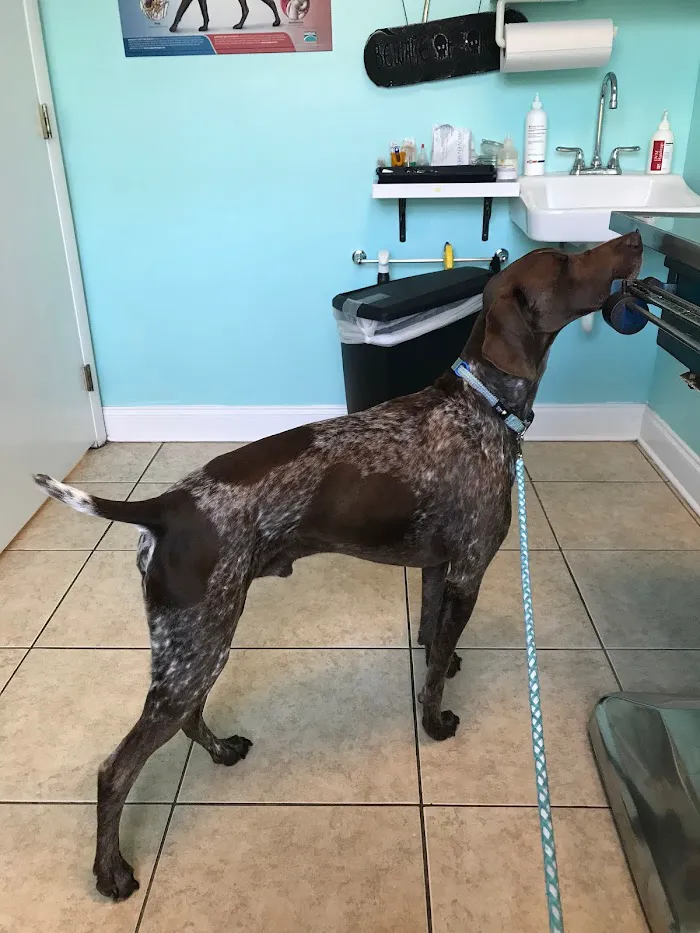 Keys Animal Care Center 12
