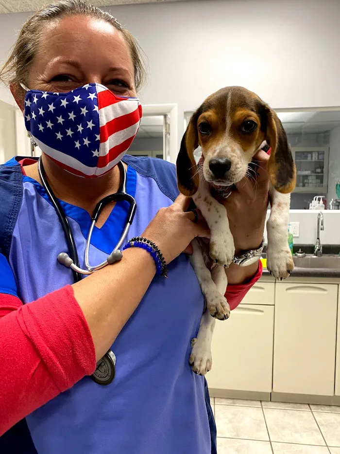 Keys Animal Care Center 12