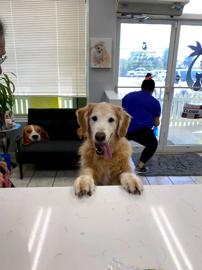 Keys Animal Care Center 12