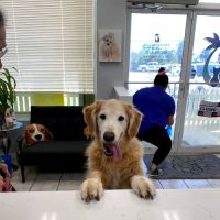 Keys Animal Care Center ico