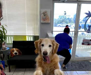 Keys Animal Care Center