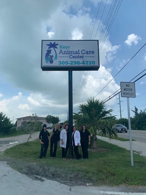 Keys Animal Care Center 12