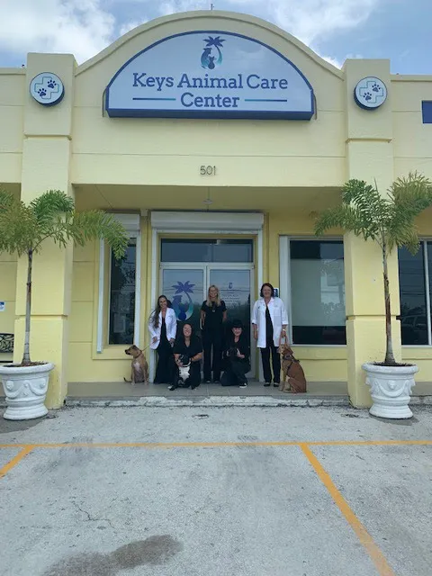 Keys Animal Care Center 12