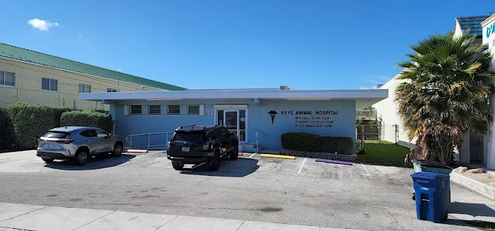 Keys Animal Hospital 12