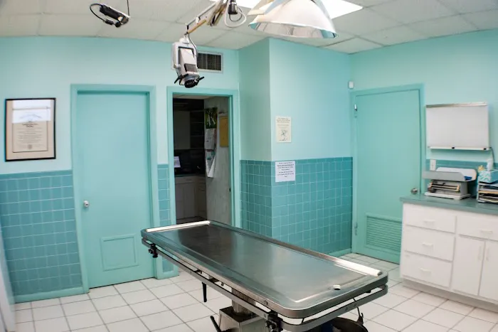 Keys Animal Hospital 12