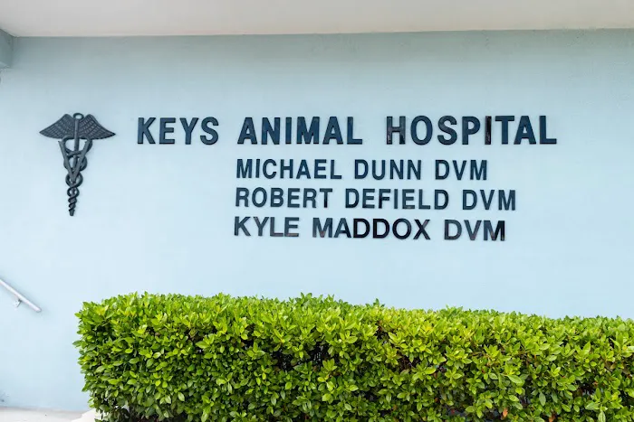 Keys Animal Hospital 12