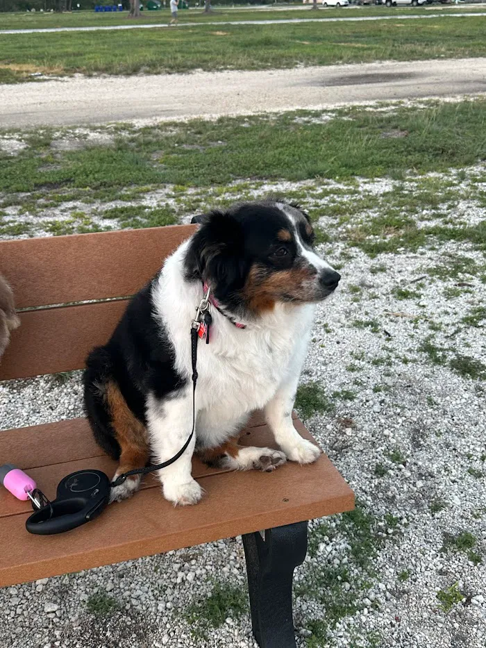 Keys Animal ER at Cruz Animal Hospital 12