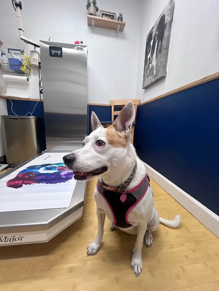 Keys Animal ER at Cruz Animal Hospital 12