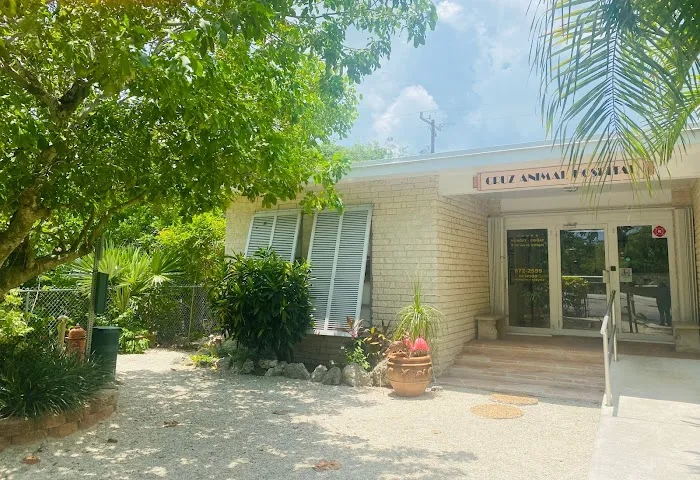 Keys Animal ER at Cruz Animal Hospital 12