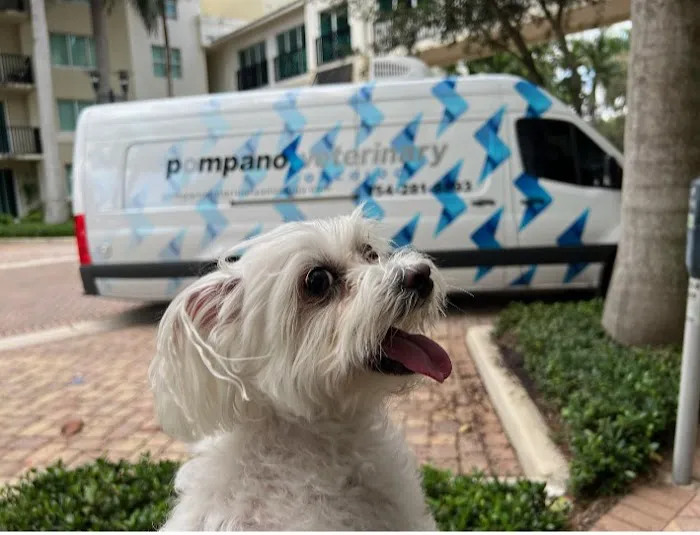 Pompano Veterinary Oncology 12