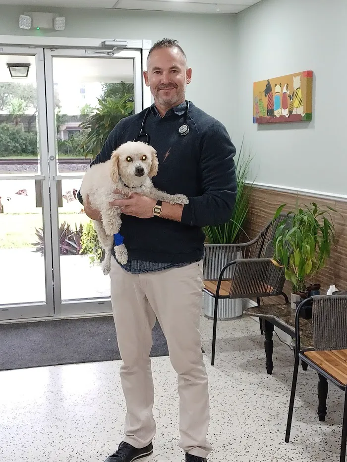 Pompano Veterinary Oncology 12