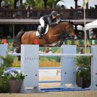 Fairfield Equine Associates ico