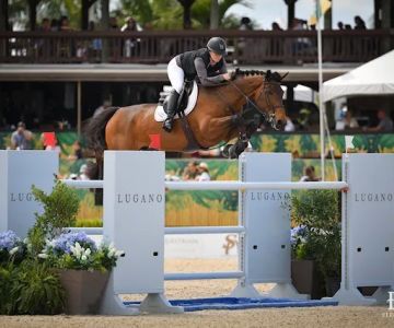 Fairfield Equine Associates