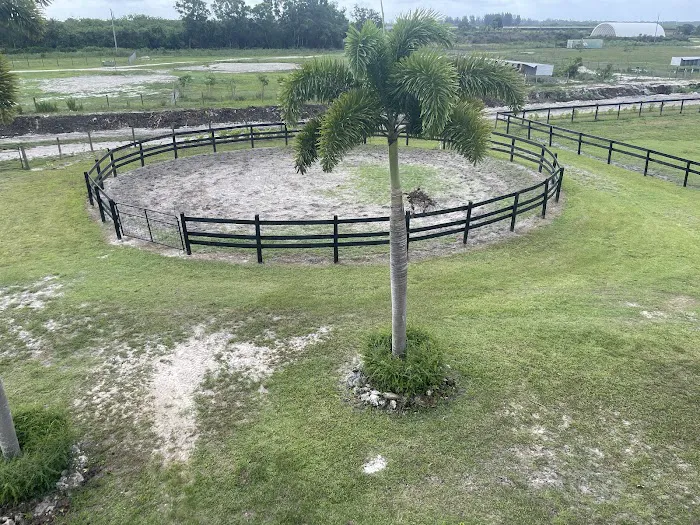 Gamboa Veterinary Services 12
