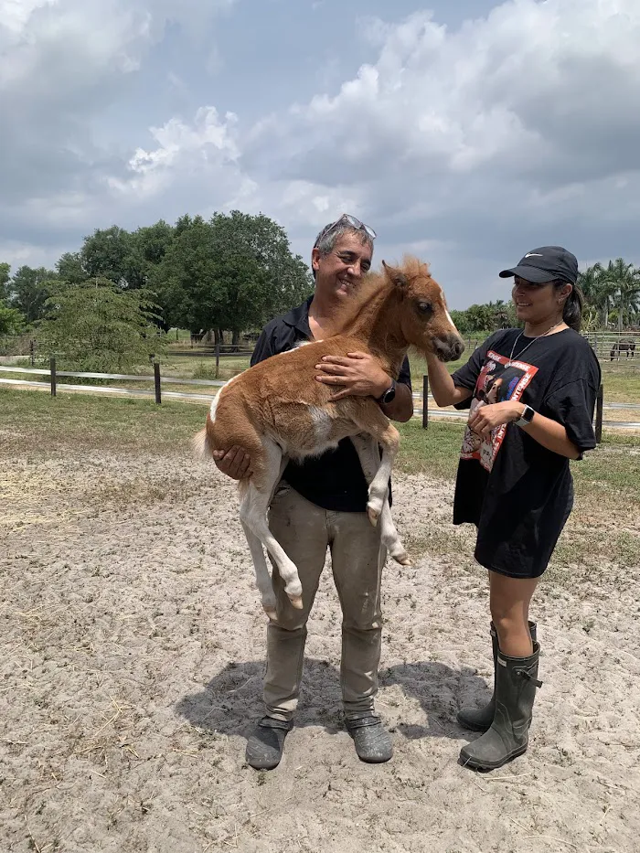 Gamboa Veterinary Services 12
