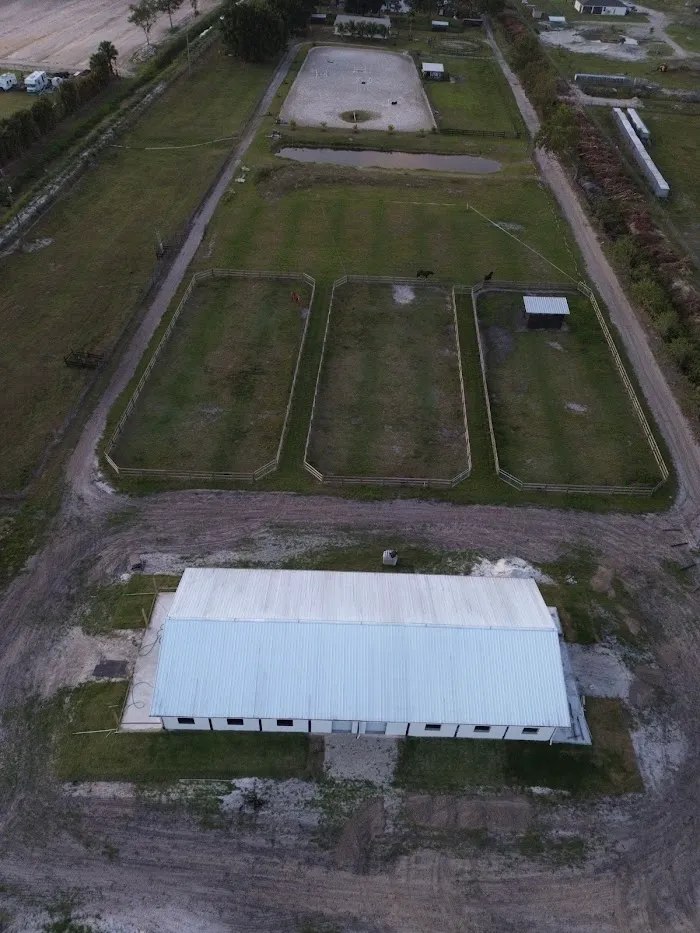 Gamboa Veterinary Services 12