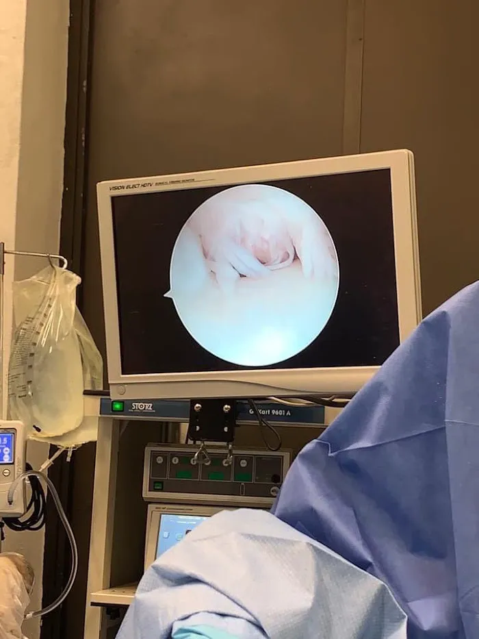 Weston Davis Equine Surgery 12