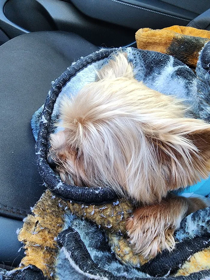 Pet Emergency of Martin County 12