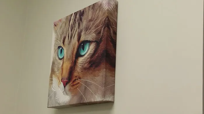 Cypress Animal Hospital 12