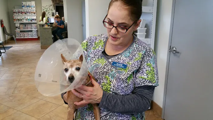 Cypress Animal Hospital 12