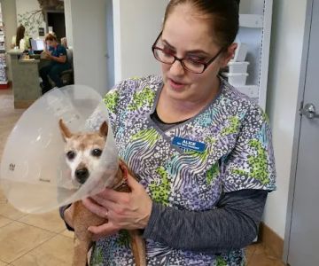 Cypress Animal Hospital