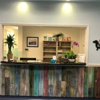 Lighthouse Animal Hospital ico