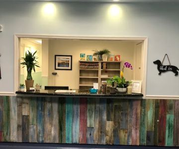 Lighthouse Animal Hospital