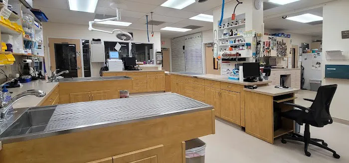 Harmony Animal Hospital 12