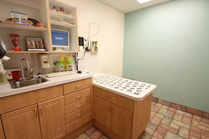 Harmony Animal Hospital 12