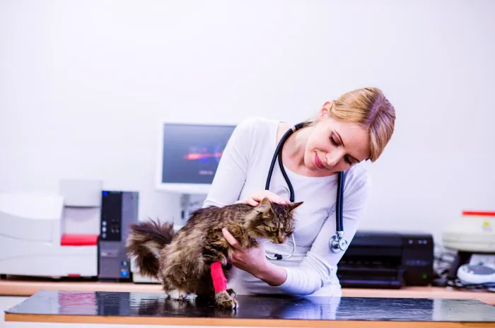 Bluffs Animal Hospital 12