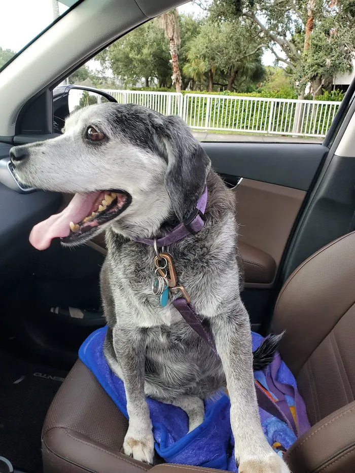 Banfield Pet Hospital 12