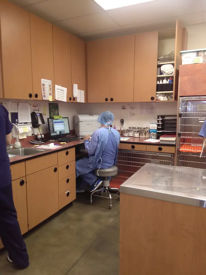 Banfield Pet Hospital 12