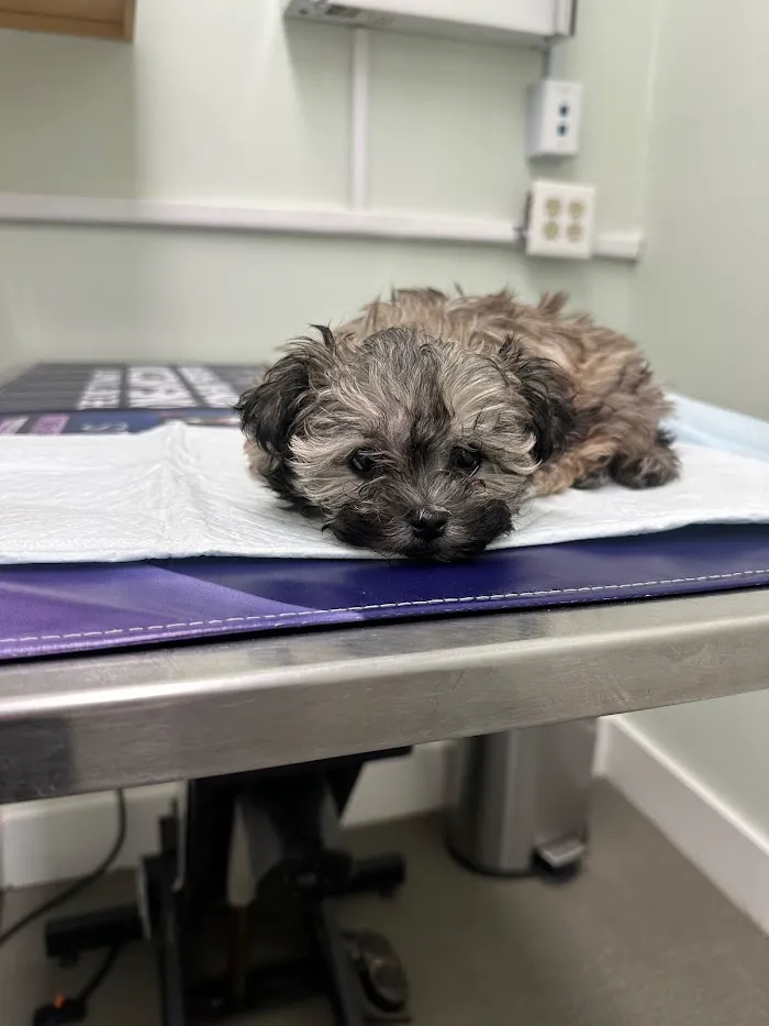 Garden Park Animal Clinic 12
