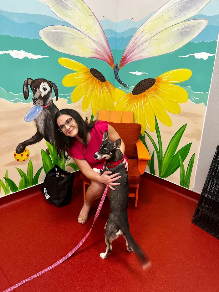 Furry Friends Veterinary Clinic 12