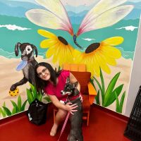Furry Friends Veterinary Clinic ico