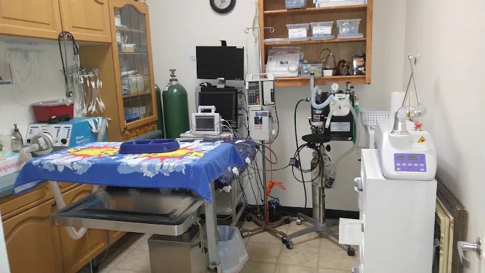 Chasewood Animal Hospital 12