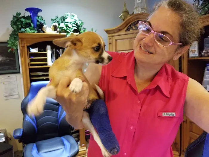 Chasewood Animal Hospital 12