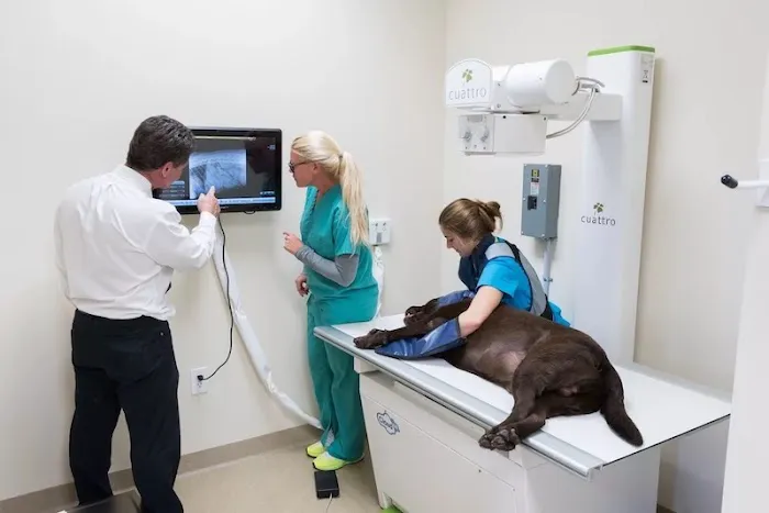 Animal Medical Center of Jupiter 12