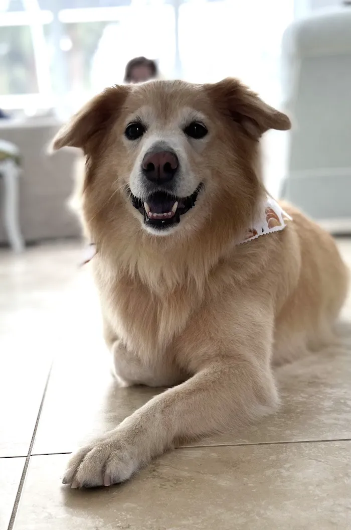Tequesta Veterinary Clinic 12