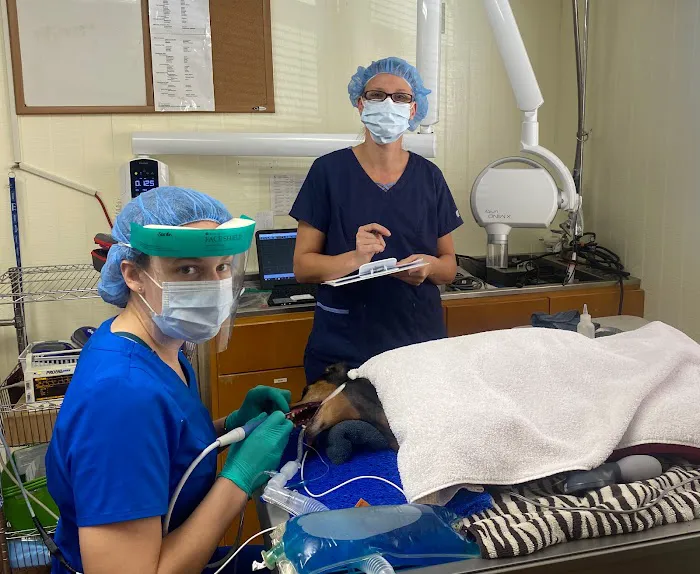 Tequesta Veterinary Clinic 12