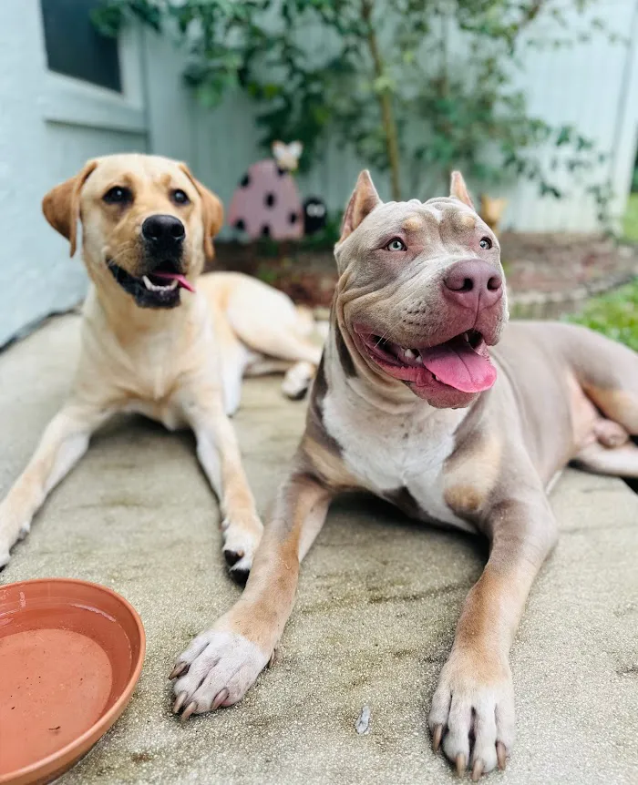 Tequesta Veterinary Clinic 12