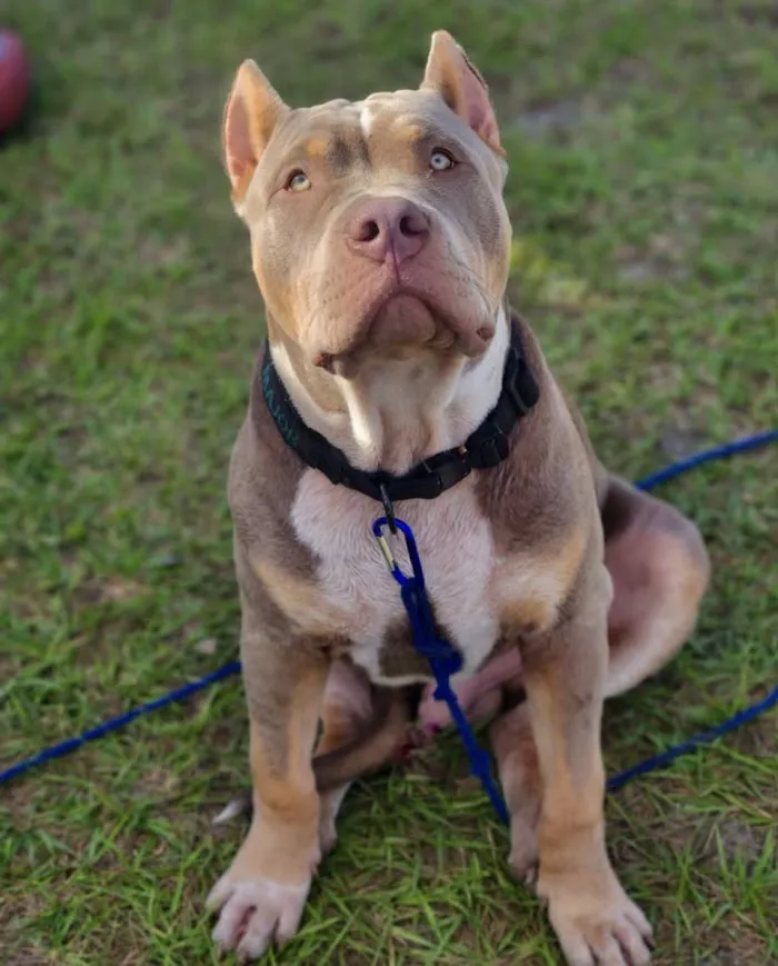 Tequesta Veterinary Clinic 12