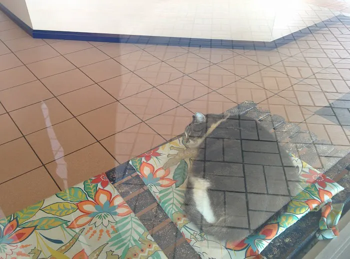 Jaffe Animal Hospital 3