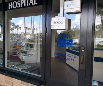 Jaffe Animal Hospital
