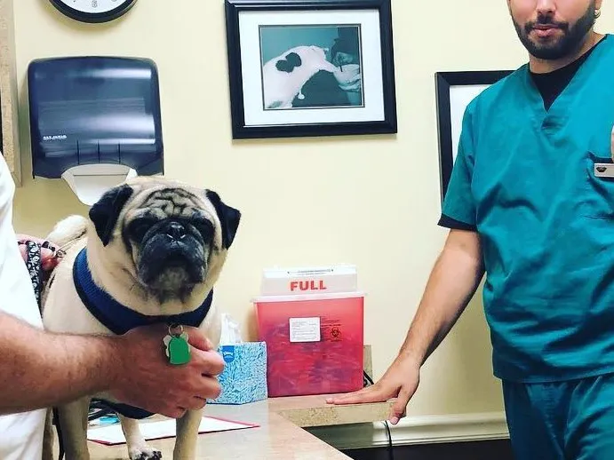 Juno Beach Animal Hospital 12