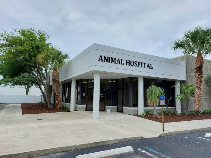 Juno Beach Animal Hospital 12