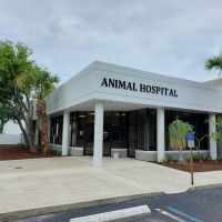 Juno Beach Animal Hospital ico