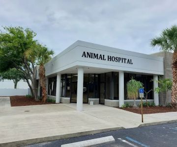 Juno Beach Animal Hospital