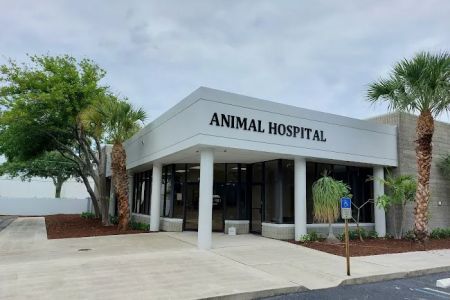 Juno Beach Animal Hospital