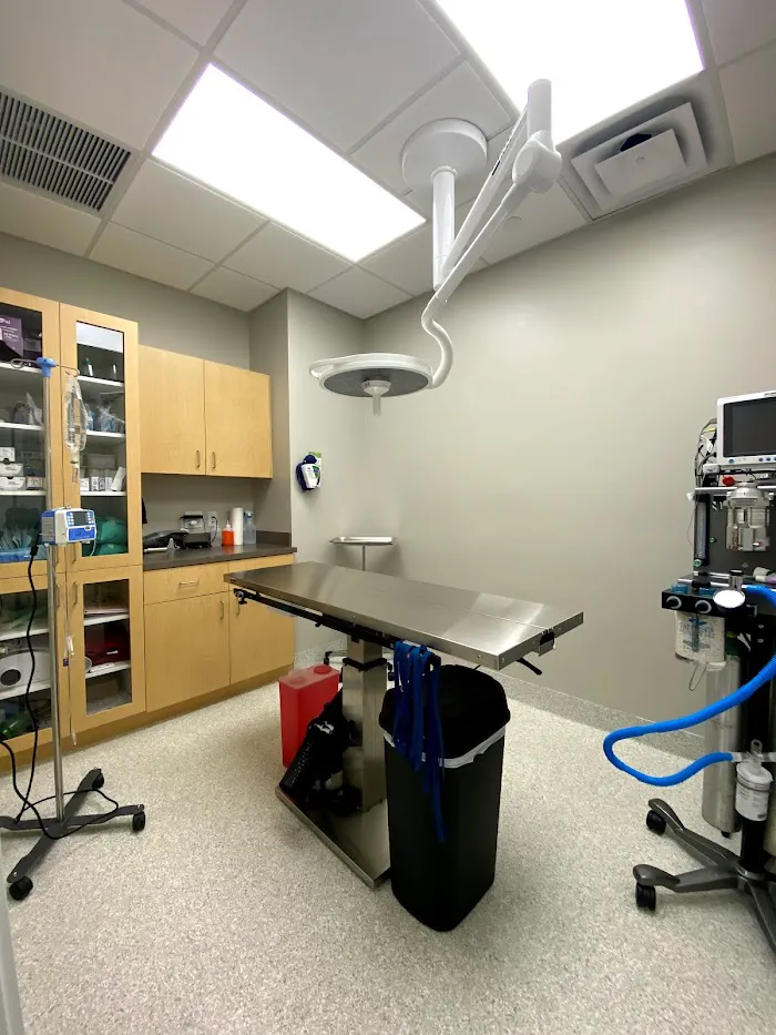 Sunshine Veterinary Hospital 12